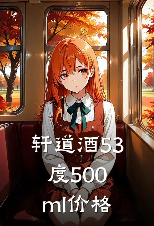 轩道酒53度500ml价格