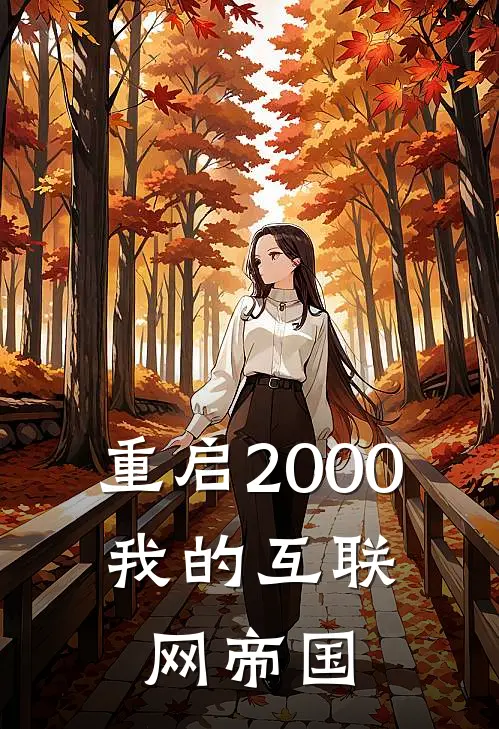 重启2000：我的互联网帝国(李维王斌)_李维王斌热门小说