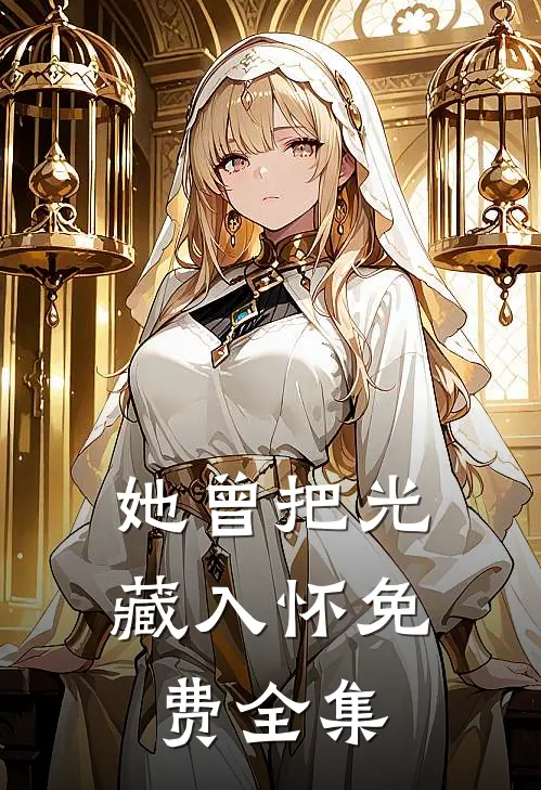 她曾把光藏入怀免费全集